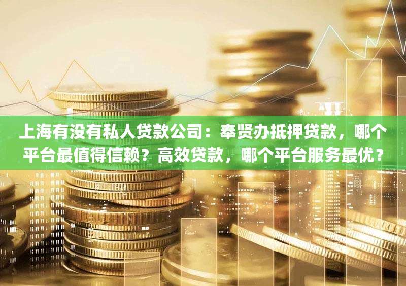 上海有没有私人贷款公司：奉贤办抵押贷款，哪个平台最值得信赖？高效贷款，哪个平台服务最优？